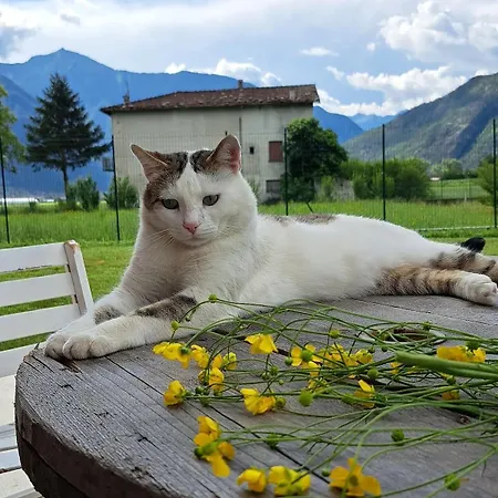 In Somaggia - Casacamillo Riva (Sondrio)