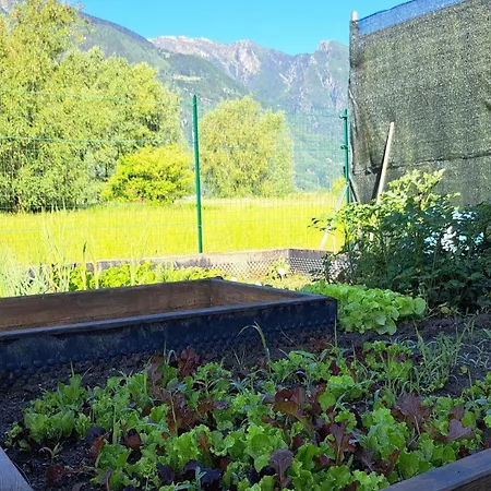 In Somaggia - Casacamillo Апартаменты Riva (Sondrio)